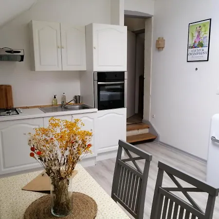 Apartmán Bel Appt 3 Pieces, A L'etage, Jardin Privatif, Au Calme, 10 Mn Saumur Et Cnpe