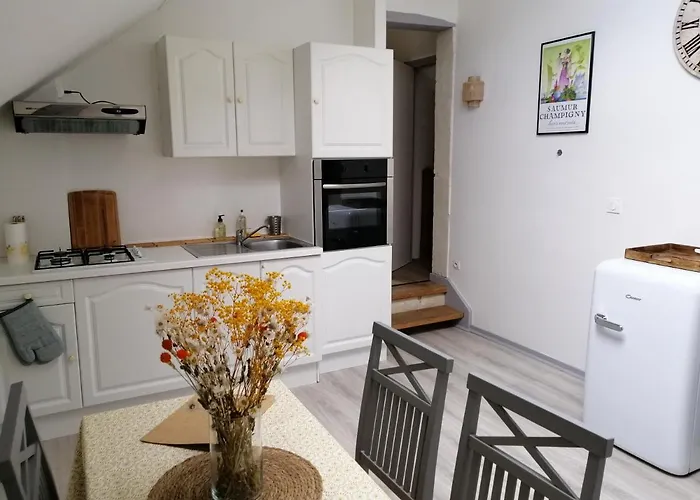 公寓 Bel Appt 3 Pieces, A L'etage, Jardin Privatif, Au Calme, 10 Mn Saumur Et Cnpe