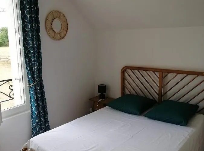 公寓 Bel Appt 3 Pieces, A L'etage, Jardin Privatif, Au Calme, 10 Mn Saumur Et Cnpe *